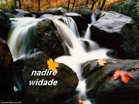 nadire et widade